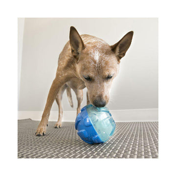 KONG Reward Slow Feed Hoppe Bold til Mellemstore og Store Hunde