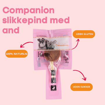 Companion Slikkepind med And 1 stk