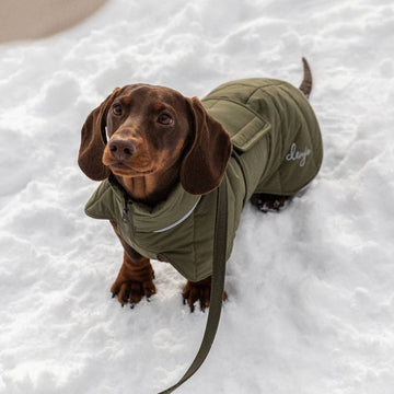 Dunjakke til gravhunde