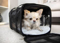 Chihuahua transporttaske