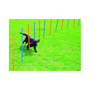 Slalom agilitybane til hund
