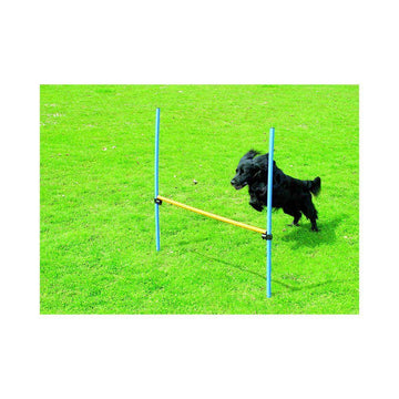 Agility spring til hunde