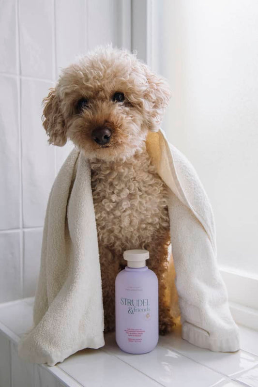 Strudel & Friends - Luksus Shampoo Til Hunde