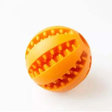Tandrensende hunde bold i orange