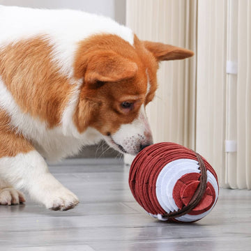 Aktivitetslegetøj snusemåtte Rugby med en corgi der leger