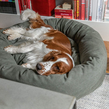 Dog bed donut classic i desert ørkengrøn med læderdetalje med hund