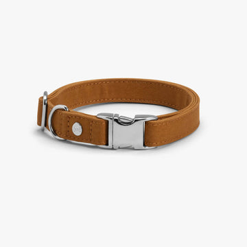 Denjo Dogs Hundehalsbånd Signature Go Matte Mustard