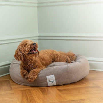 Denjo dogs donut icon taupe bed hundeseng med labradoodle