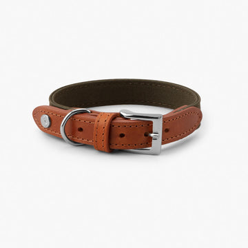 Denjo Dogs Hundehalsbånd Signature hundehalsbånd i farven Cognac og Khaki