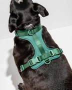 Grøn hundesele i smukt design