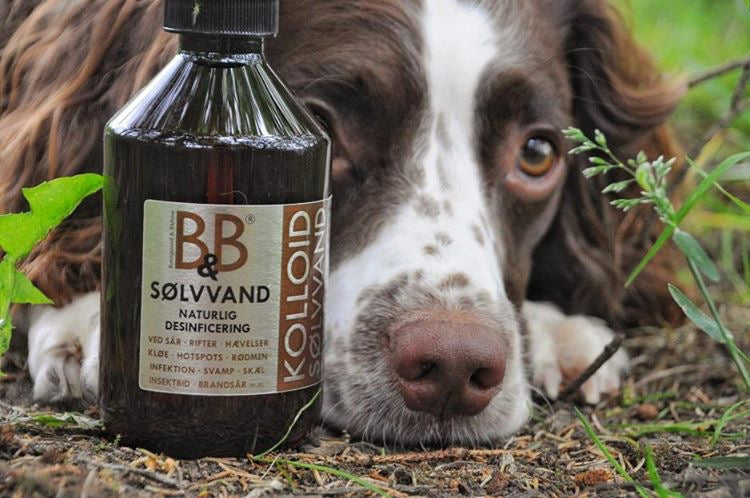B&B Sølvvand