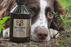 B&B Sølvvand