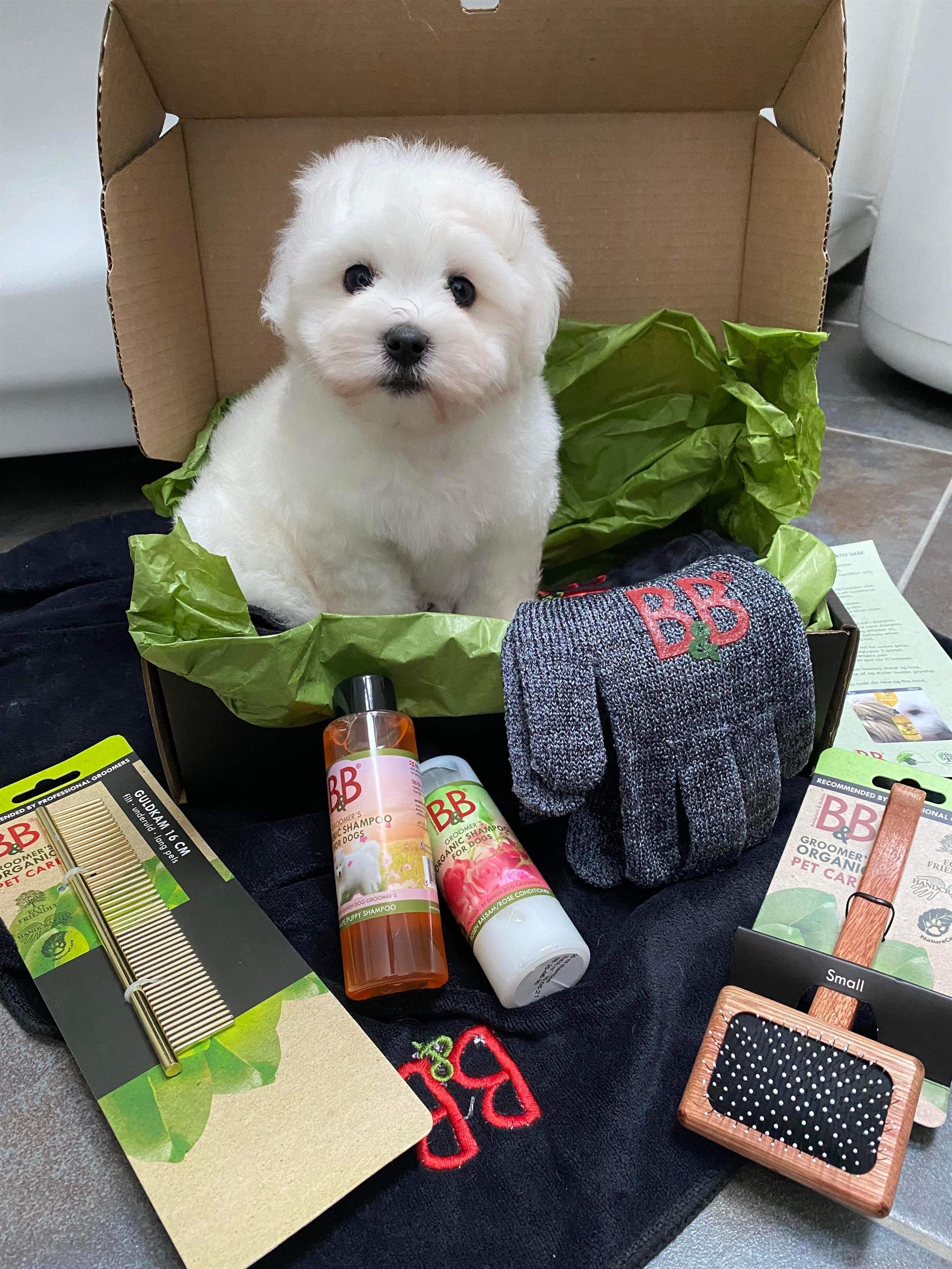 B&B pelspleje startboks til hvalpe