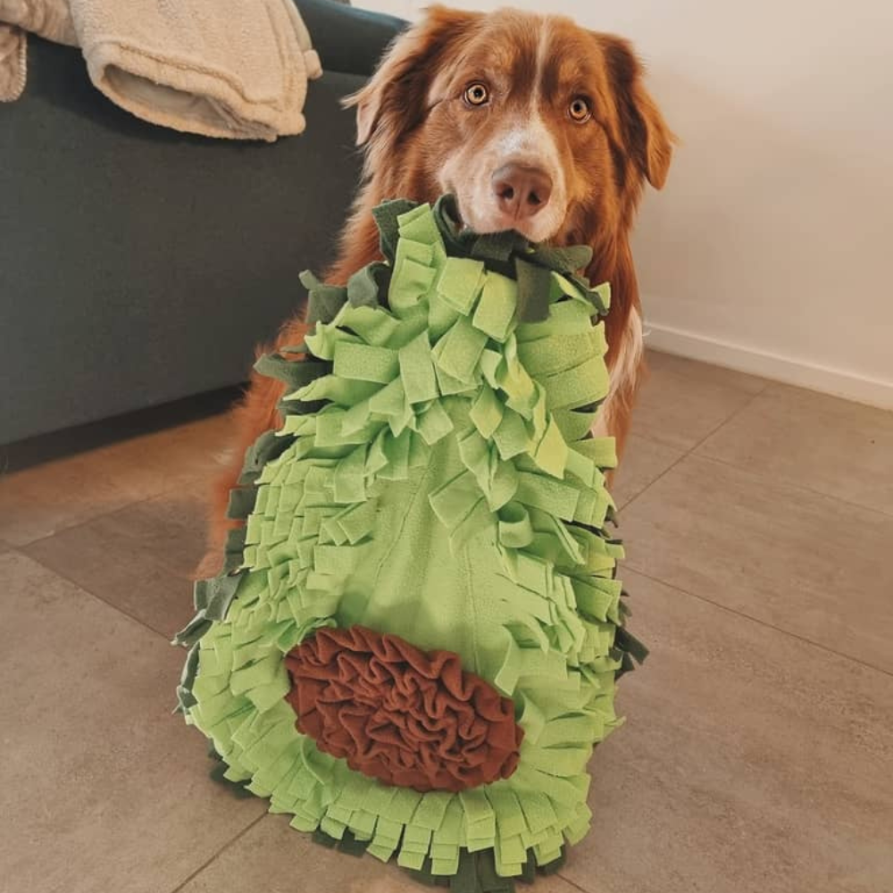 Aktivitetslegetøj til hund - Snusetæppe Avocadoo