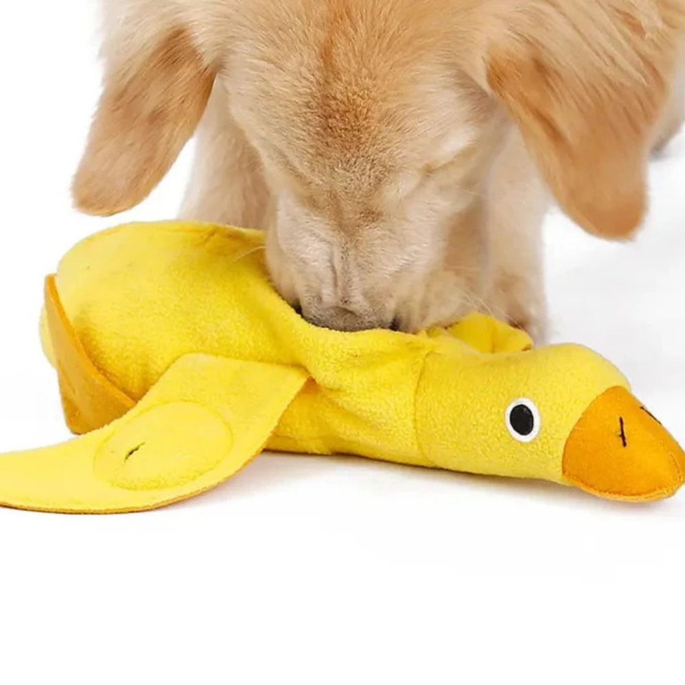 Aktivitetslegetøj til hund - Ande Hundebamse