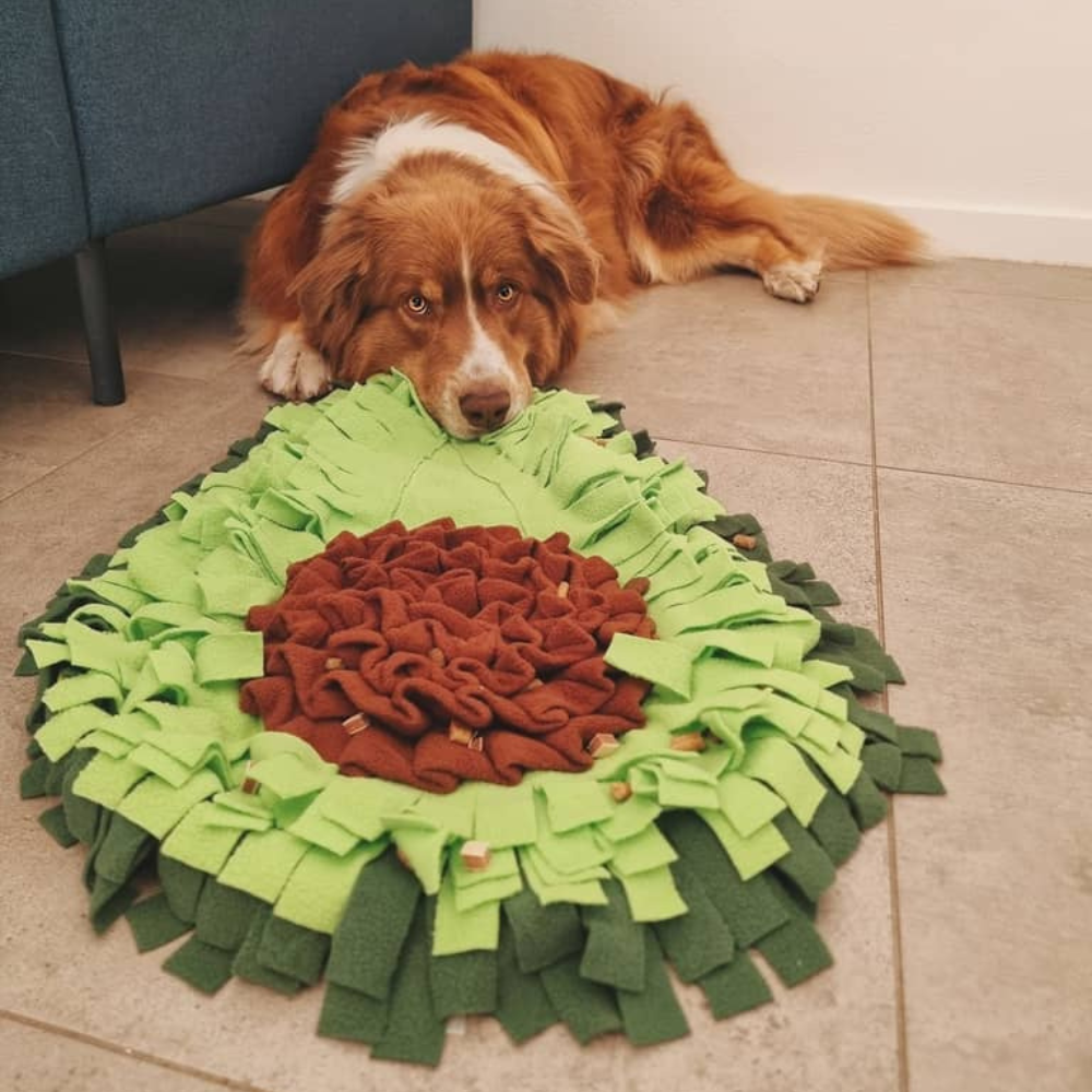 Aktivitetslegetøj til hund - Snusetæppe Avocadoo