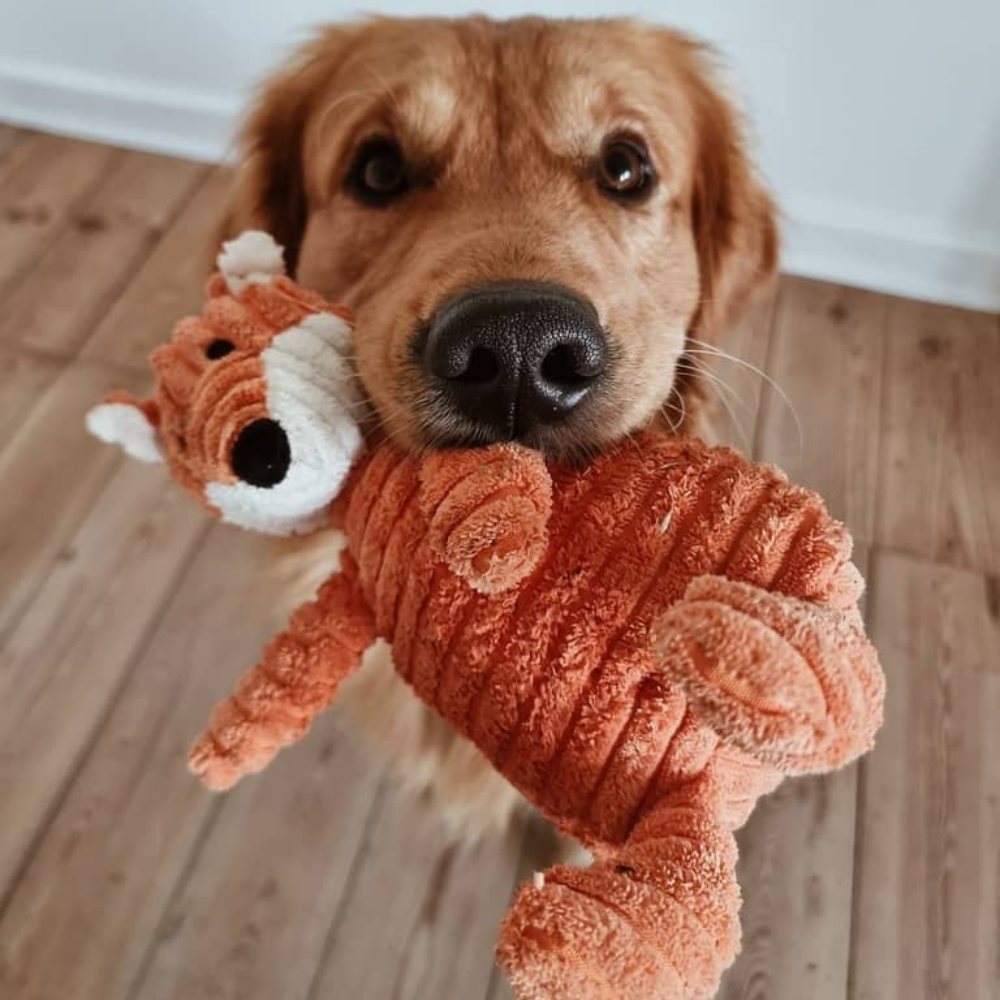 Hundebamse Mikkel Ræv