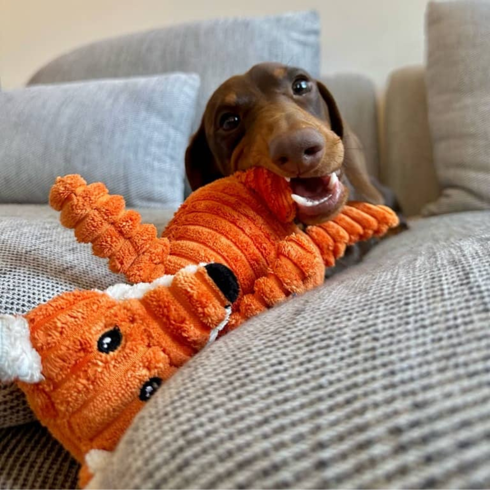 Hundebamse Mikkel Ræv