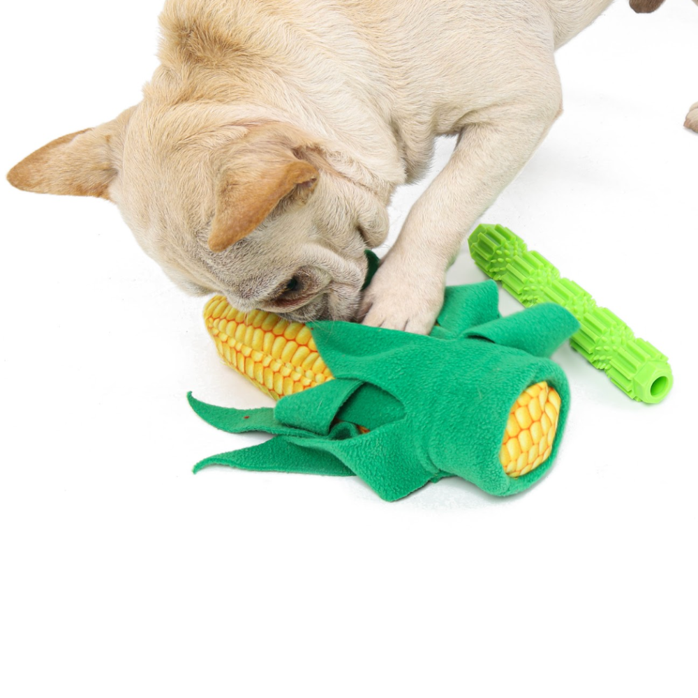 Aktivitetslegetøj til hund - Majskolbe med indbygget tandrensende ben hundebamse