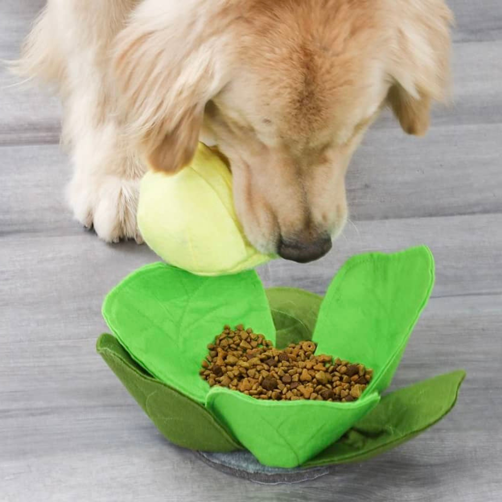 Aktivitetslegetøj til hund - Kålhoved Hundebamse