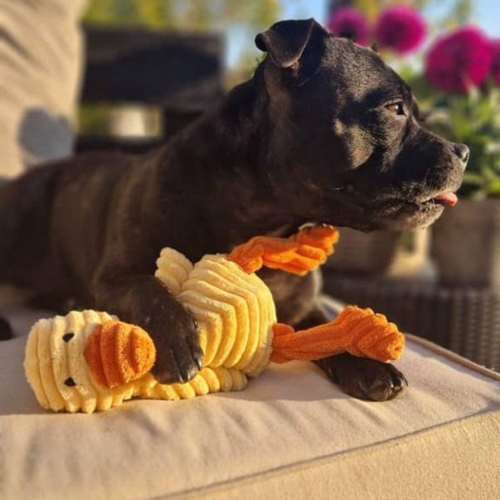 Hundebamse Kyllingen Kathrine