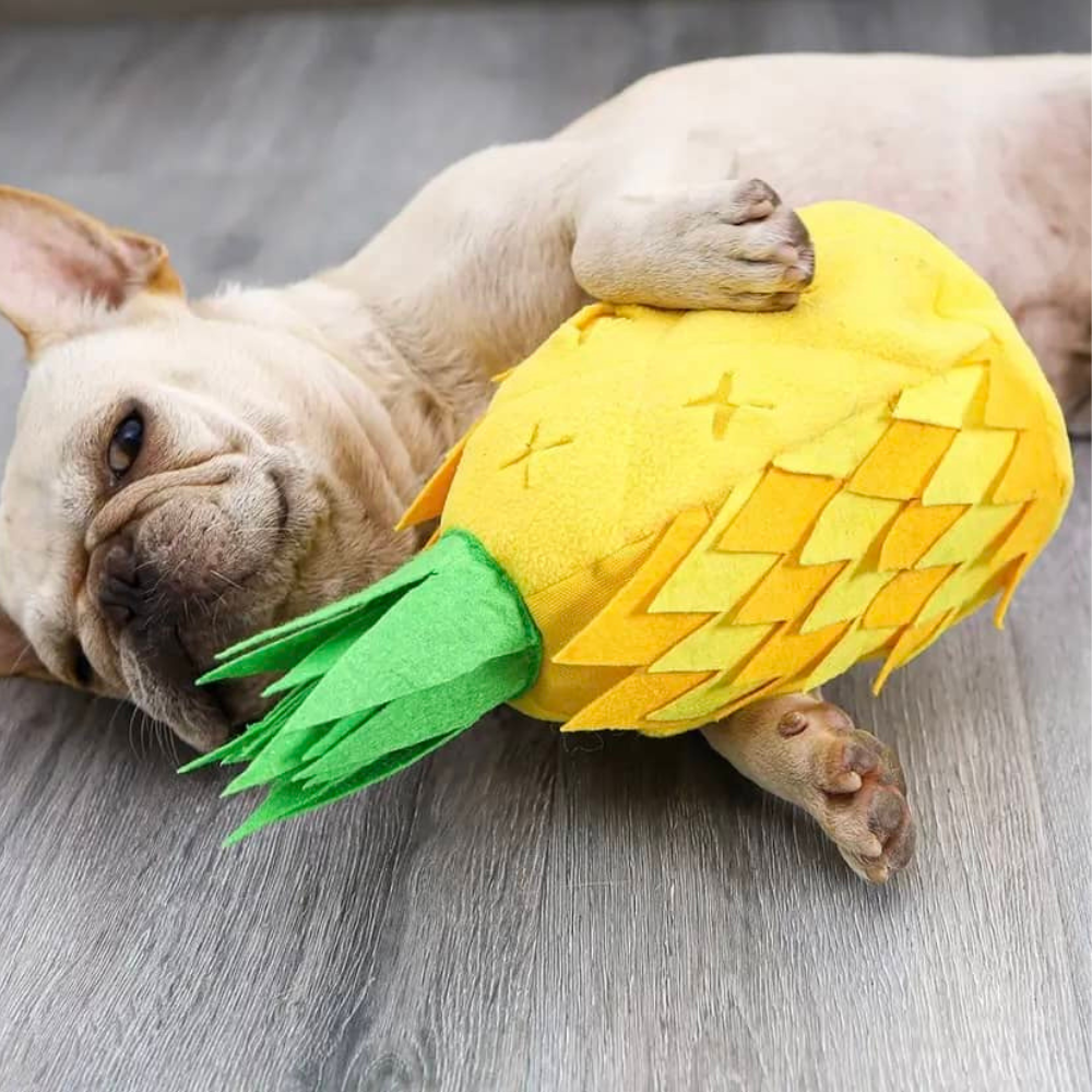 Aktivitetslegetøj til hund - Ananas Hundebamse