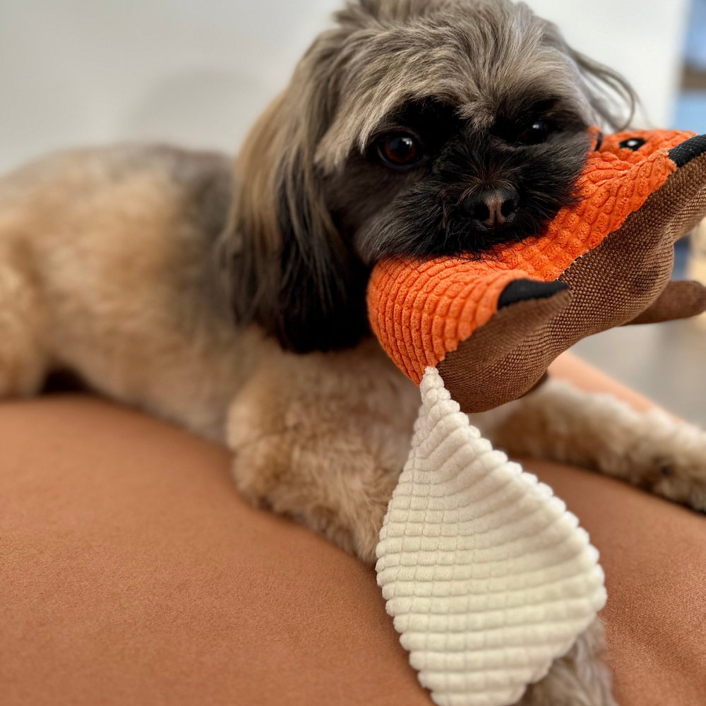 Hundebamse Egernet Egon