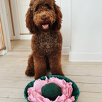 Aktivitetslegetøj til hund - Snusetæppe Lotus Blomst