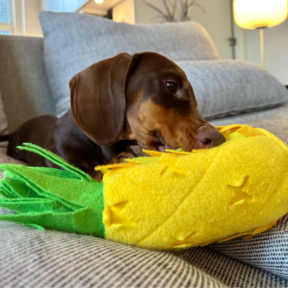 Aktivitetslegetøj til hund - Ananas Hundebamse