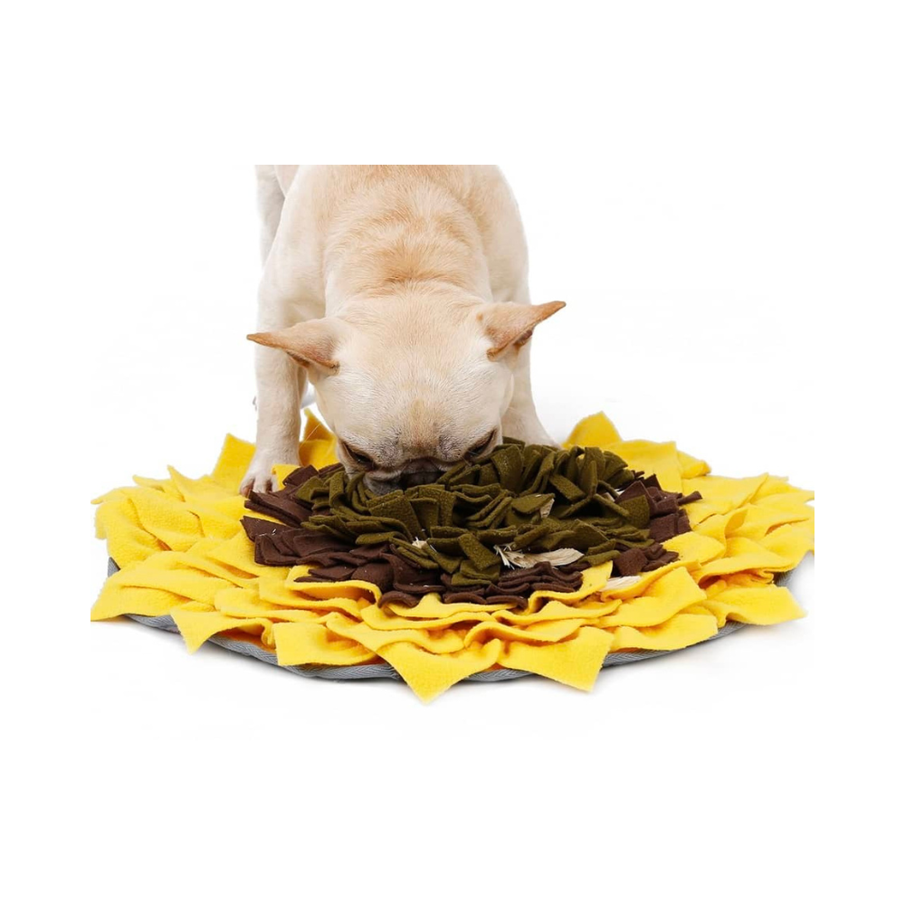 Aktivitetslegetøj til hund - Snusetæppe Solsikke