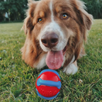 KONG Jaxx Brights Ball Rød Hundebold