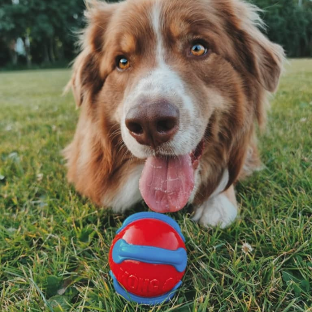 KONG Jaxx Brights Ball Rød Hundebold