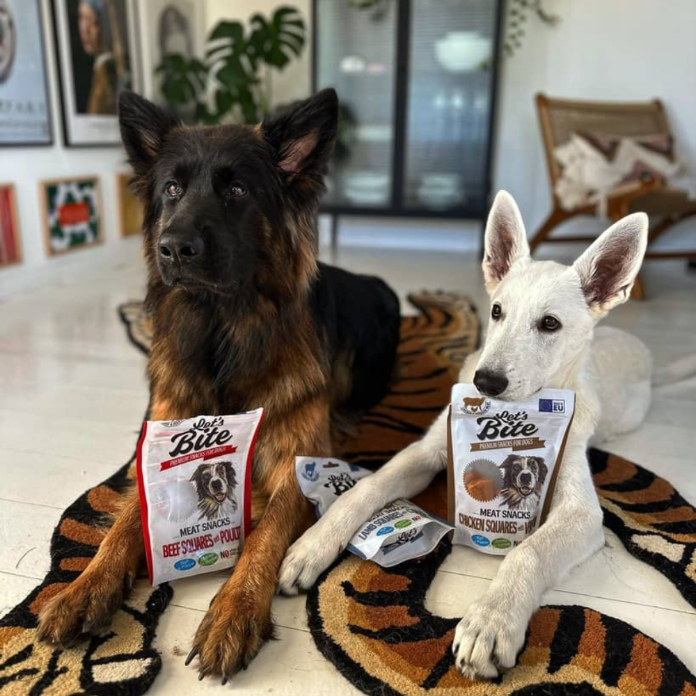 Brit Let's Bite  - Lammeterninger med kylling