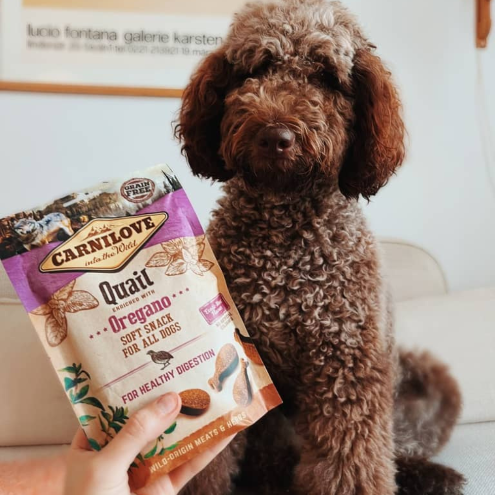 Carnilove Soft Snack Vagtel og Oregano Godbidder