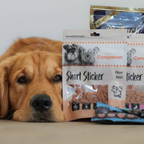 Companion Salmon Sandwich Lakse Godbidder