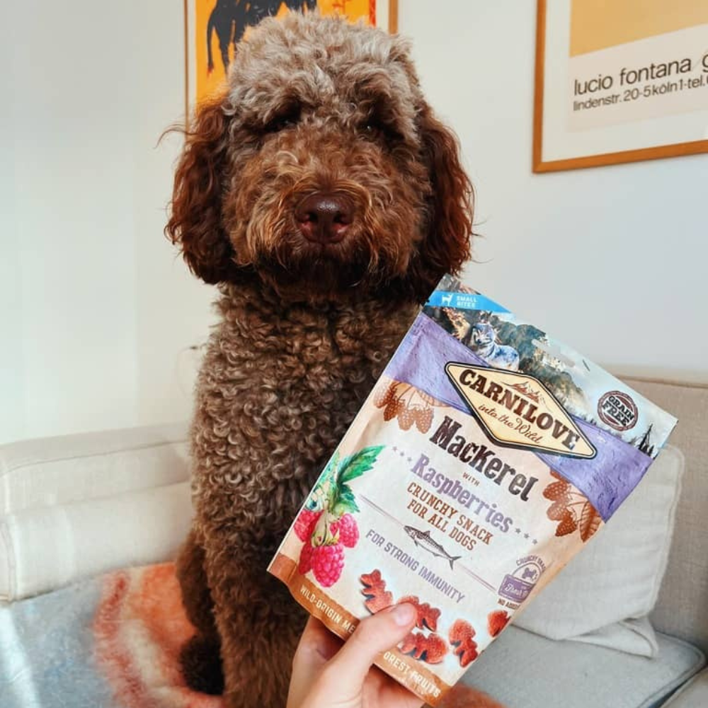 Carnilove Crunchy Snack Makrel & Hindbær Godbidder