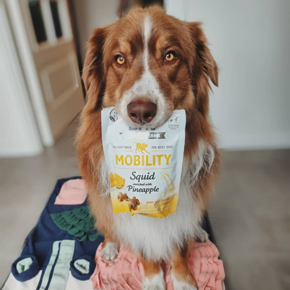 Brit Care Functional Snack Mobility Squid Godbidder