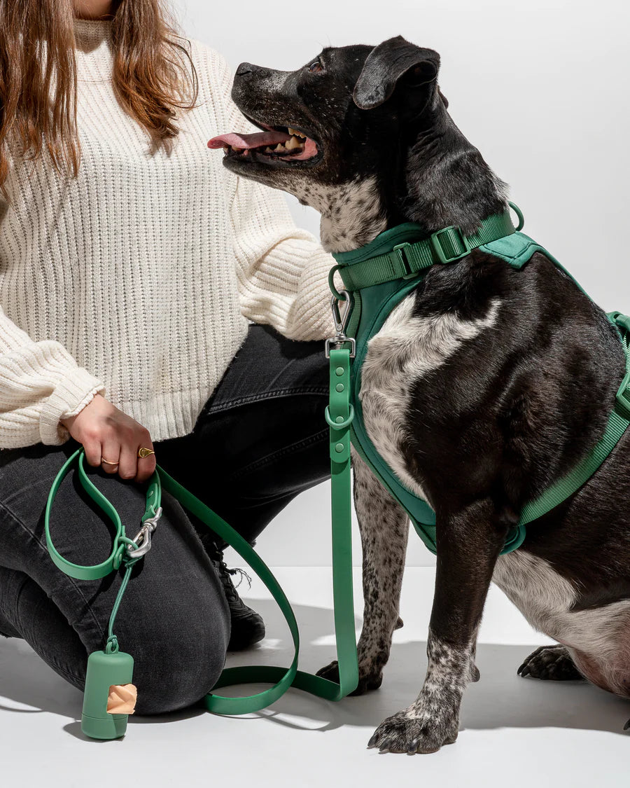 hundesele i grøn