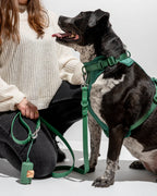 hundesele i grøn