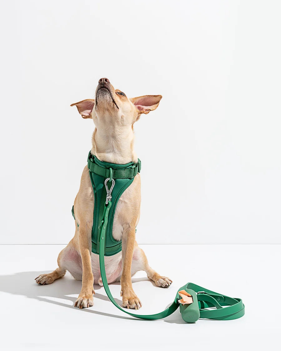 Grøn hundesele i åndbart materiale