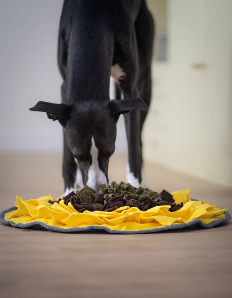 Solsikke aktivitetsmåtte med wippet