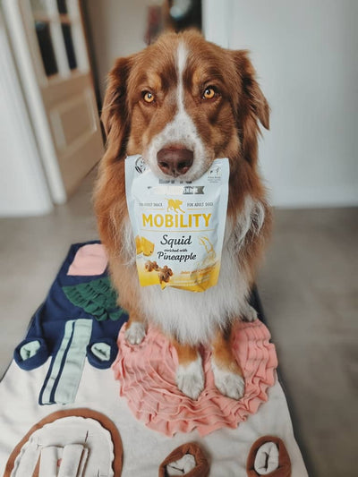 Brit mobility squid godbidder til hunde