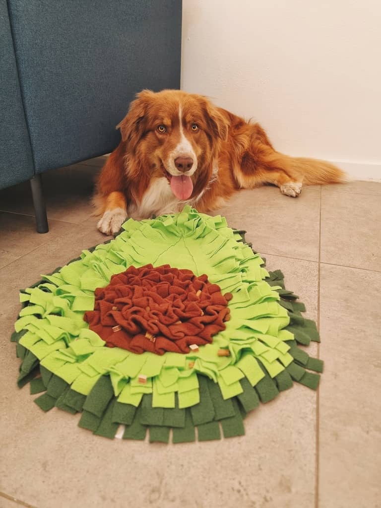 snusetæppe til hunde