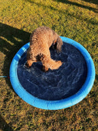 hund bader i hundepool