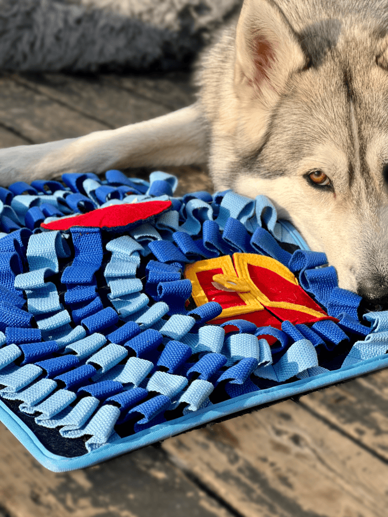 Aktivitetslegetøj til Hund - Snusetæppe Skattejagt