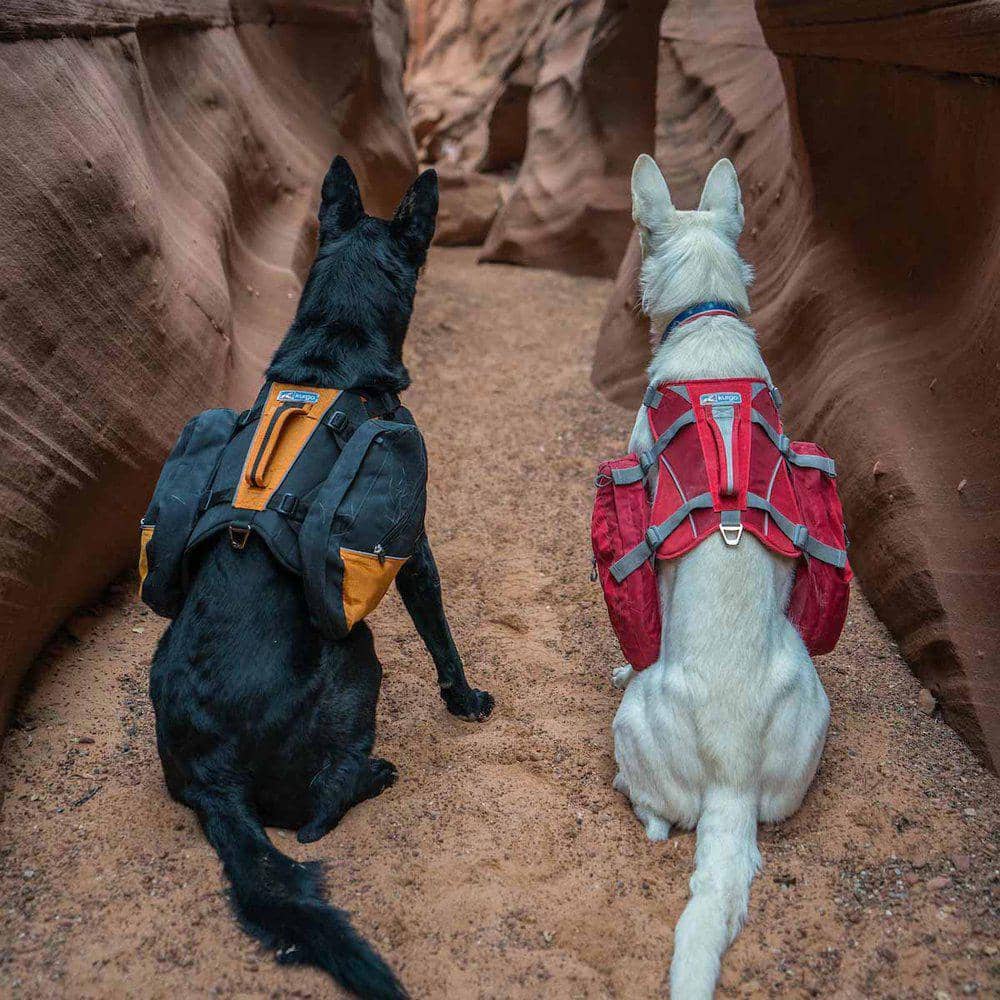 Kurgo Rygsæk til hunde