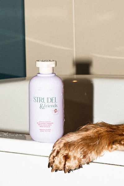 Strudel & Friends - Luksus Shampoo Til Hunde