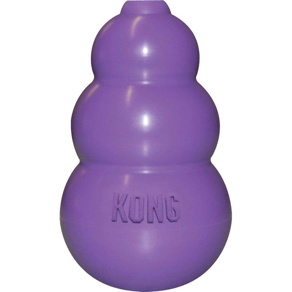 KONG Kitty