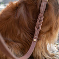 Denjo dogs hundesnor i brun læderflet på rødbrun hund