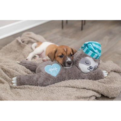 hund med beroligende bamse
